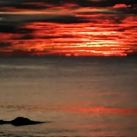 Sol Y Sal Locos 公寓 托雷维耶哈