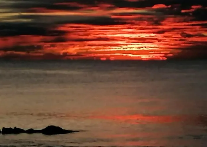 Sol Y Sal: Locos Apartment Torrevieja